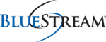 BlueStream Professional Services